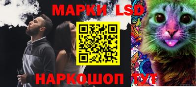 стафф Будённовск