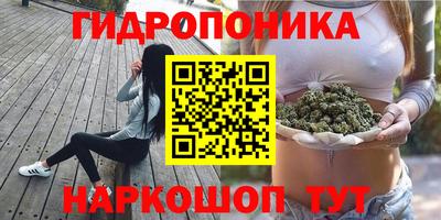 стафф Будённовск