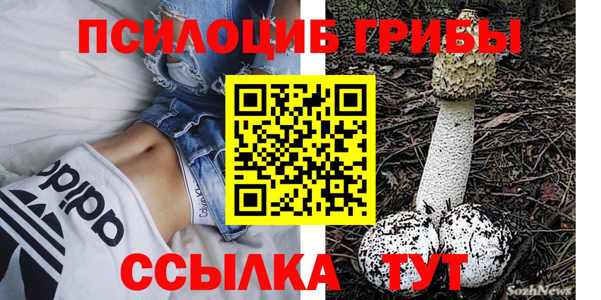 Коммунар  Псилоцибиновые грибы мицелий  Вход с VPN 